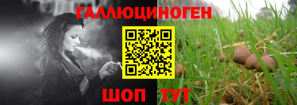 Галлюциногенные грибы Magic Shrooms  Вход с VPN  Псилоцибиновые грибы мицелий  Мелеуз 